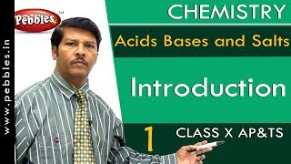 Introduction  Acids Bases and Salts  Chemistry  Science  Class 10 [upl. by Wexler]