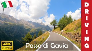 Driving in Italy 20 Gavia Pass  4K 60fps [upl. by Alaehs448]