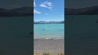 Akaroa Nz [upl. by Noit]