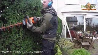 Tuinonderhoud werkzaamheden [upl. by Reynolds]