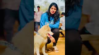 I’m dog lover z bollywood 1millionview 1mlike shorts shortsviral song music [upl. by Berkow]