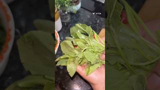 Easy amp tasty Chukka kura curry for hot rice leafy vegetable curry easy cooking [upl. by Hgieloj]