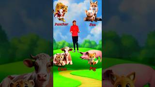 Panther vs Fox vs Cow vs Pig jyotivfx funny cartoon [upl. by Nicholle722]