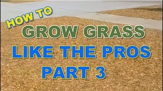 How to Grow Grass Like the Pros  Part 3 [upl. by Aserat]