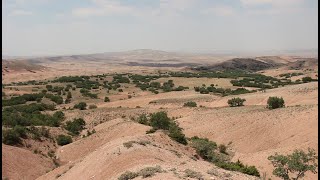 İÇ ANADOLUNUN KALINTI ORMANLARI [upl. by Palecek]