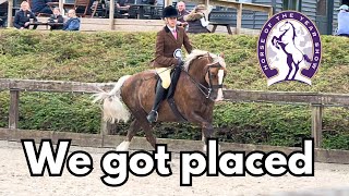 Our First HORSE OF THE YEAR SHOW Qualifier Of The Year  Horse Show Vlog  Amateur rider [upl. by Shien]