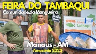 TAMBAQUI FRESQUINHO DIRETO DA COMUNIDADE DA MANGUEIRA DE 04 À 10 SETEMBRO NA FEIRA DA FAS  AMAZÔNIA [upl. by Adnoluy]