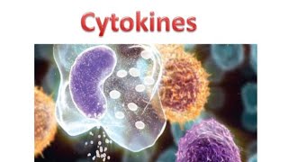 Cytokines and their role in immune response easy Explanation with Notes by Yogita Yadav [upl. by Eiznekam759]