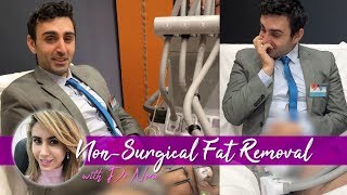 Laser Fat Melting  SculpSure Treatment Experience 🍰🔥 [upl. by Esac142]