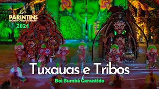 Live Parintins  Tuxauas e Tribos Boi Garantido [upl. by Selrahc]