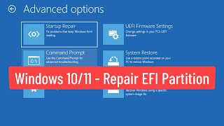 Windows 1011  Repair EFI Partition [upl. by Ycrem]