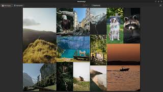 Creating a photo collage with the open source program photocollage [upl. by Lamoureux371]