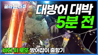 이 갑판은 5분 뒤 꽉 찹니다 잘 잡으면 하루 4000만 원 그야말로 바다 로또 방어잡이 출항기│대방어회 먹방│극한직업│골라듄다큐 [upl. by Aehcsrop]