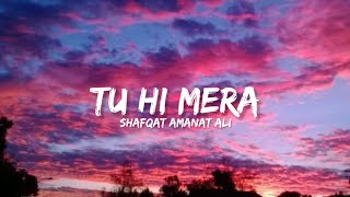 Tu Hi Mera  Shafqat Amanat Ali Lyrics  Lyrical Bam Hindi [upl. by Mirak]