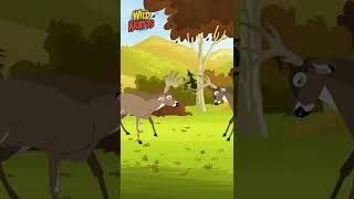 BUCK BATTLE  Wild Kratts  Kratt Brothers [upl. by Eerised]