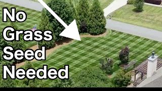 Aeration and Seeding or Pre Emergent August Lawn Care [upl. by Satsok359]