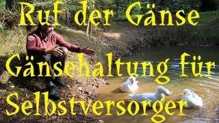 Gänsehaltung für Selbstversorger [upl. by Laurella]