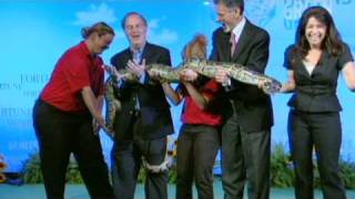 Sea World snake squeezes editor [upl. by Filippa]