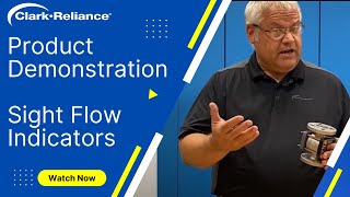 Sight Flow Indicator Product Demonstration [upl. by Nylssej285]