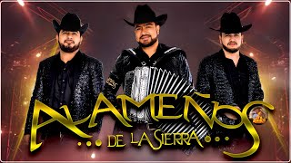 Popurri Los Alameños  Las Mas Chingonas PaBailar MIX  Corridos y Cumbias Sierreñas [upl. by Lennahc402]