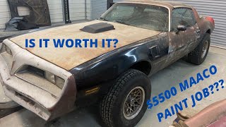 IS MAACOS PREMIERE PAINT JOB WORTH IT  78 PONTIAC TRANS AM PAINT AND BODY WORK [upl. by Alig398]