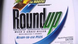 RoundUp Weed And Grass Killer ReadyToUse Plus [upl. by Mihcaoj]