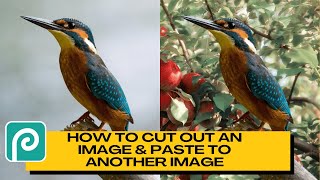 How to Cut Out an Image amp Paste to Another Image in PHOTOPEA [upl. by Ayekehs987]