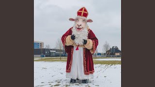 Sinterklaas Schaap  Sinterklaasliedjes [upl. by Catherin]