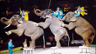 Shrine Circus 2024 in North Dakota USA 2 [upl. by Enobe]