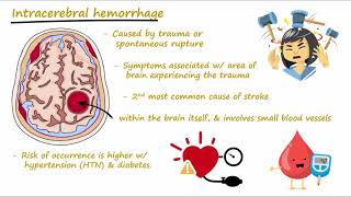 Brain Hemorrhage  Epidural Subdural Subarachnoid Intracerebral  Concisely Described [upl. by Mulvihill]