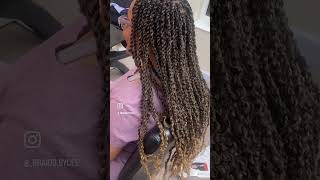 HOW TO DO THE PERFECT PASSION TWIST instabraidsbycee passiontwist braids twists [upl. by Vani]