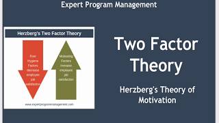 Two Factor Theory  Herzbergs Theory of Motivation [upl. by Shaina]