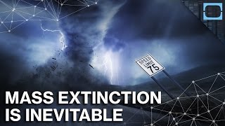 Why The Next Mass Extinction May Already Be Here [upl. by Clayberg]