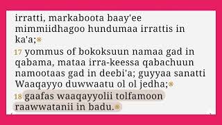 125 Macaafa Isaayaas Raajichaa boqonnaa 1 hanga 6  Daansee Asaffaa tiin [upl. by Cathyleen]