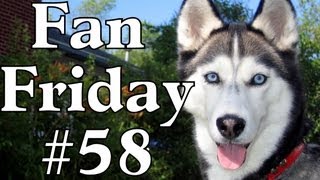 What do you do with the Husky Poop Fan Friday 58 [upl. by Eahsel]