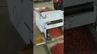 Pepper Seed Removing Machine Chilli Seeds Remover Machine Pepper Chilli Cutting Machine [upl. by Mor]