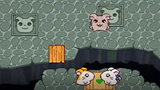 ¡Kezuto me has dao  Hamtaro HamHam Heartbreak  09 [upl. by Daph]