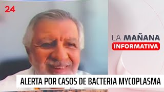 Bacteria Mycoplasma quotNo se ha visto una mutación que afecte a mayores de 20 añosquot  24 Horas [upl. by Hanan400]