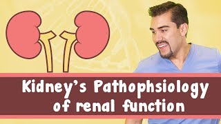 Kidneys Pathophysiology of renal function [upl. by Arocal]