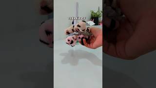 Hair band organizer  voice over ചെയതത് speed ആയി പോയോ  diy craftideas diycrafts [upl. by Dom979]