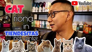 Best Pet Shop In the Philippines 🇵🇭  Tiendesitas Pet Shop 🐈  Tiendesitas Cat Shop 🐈  Cat Lover ❤ [upl. by Itsim]