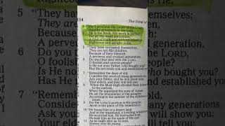 Deuteronomy 3234  Daily Scripture 2024  bible biblereading shorts [upl. by Adiahs763]