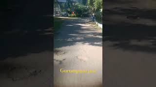 gorompani zoo val lagile subscribe koribo [upl. by Aicetel]