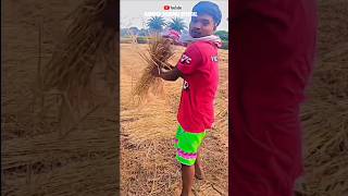 Maramba new santali comedy short video vairalvideo tending comedy funny song santali [upl. by Anisamoht]