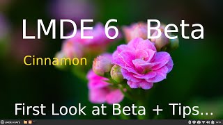 LMDE 6  Beta  First Look amp Tips of the New Cinnamon Desktop [upl. by Hinson]