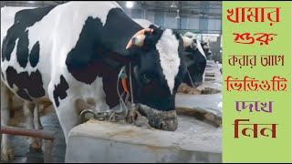 How to start Dairy Farm in Bangladesh  Cow Farming Business ideas in BD 2020 [upl. by Mariann]