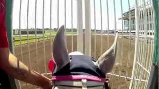 Quarter Horse Helmet Cam at Canterbury Park with Jockey Jeramie Fennell [upl. by Atiuqet]