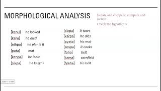 Solving morphology problems [upl. by Idnaj]