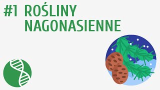 Rośliny nagonasienne 1  Rośliny nasienne [upl. by Eliseo]