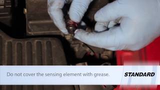 Intake Air Temp Sensor Replacement [upl. by Gavrah]